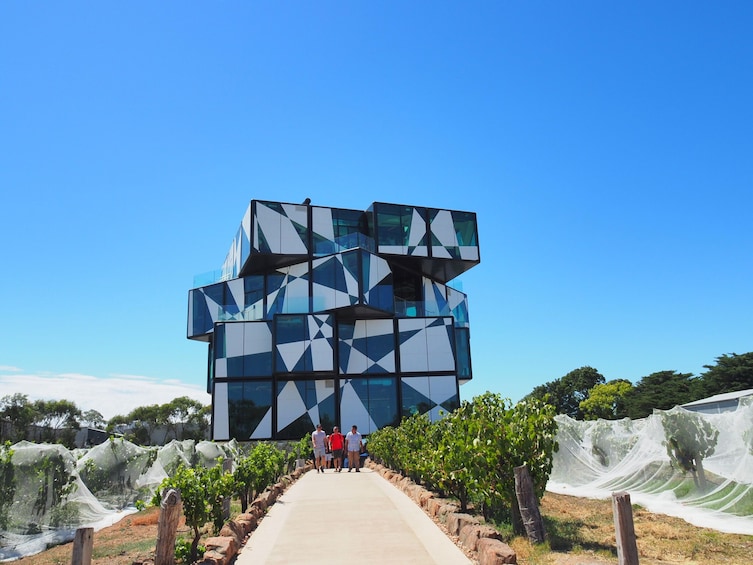 McLaren Vale & The Cube Small Group Experience