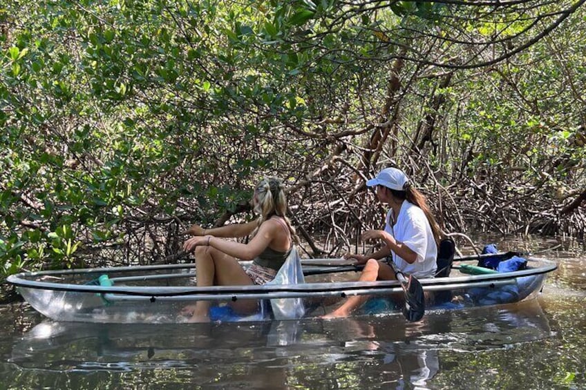 Clear Kayak Guided Tours in Naples