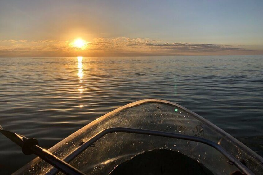 Clear Kayak Tours in Bonita Springs