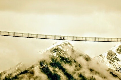 EXCLUSiVE NEUSCHWANSTEiN and XXL-Pedestrian SUSPENSiON BRiDGE Tour INCL. Ti...