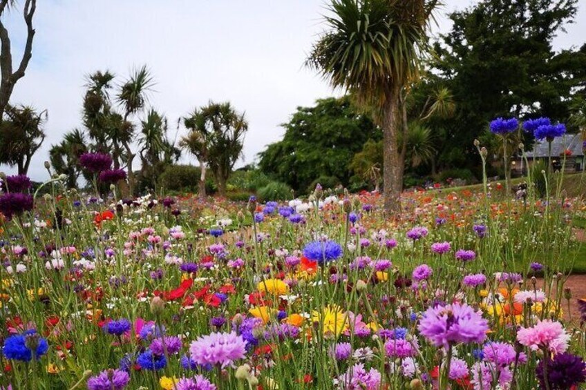 Italian gardens