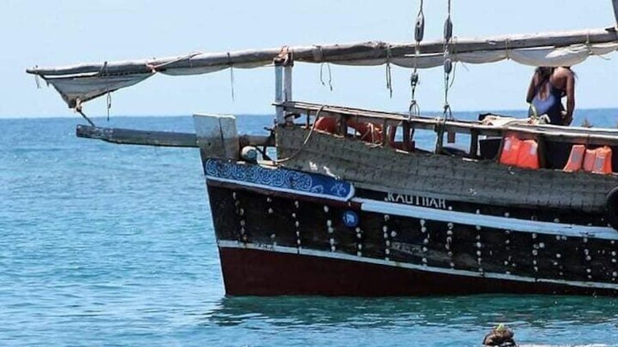 Dolphin tour by Ghalib
