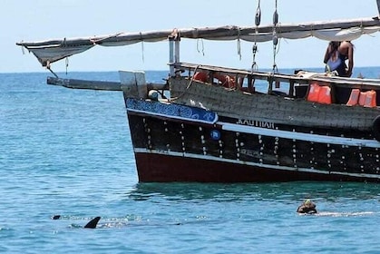 Dolphin tour by Ghalib