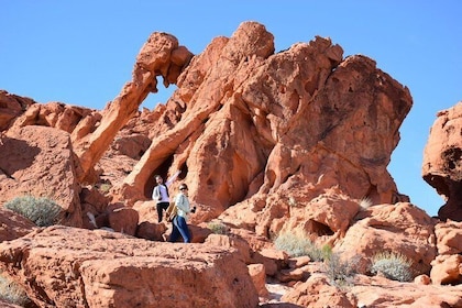 Small Group Valley of Fire Tour from Las Vegas