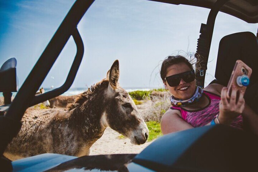 A unique encounter at San Nicolas area.