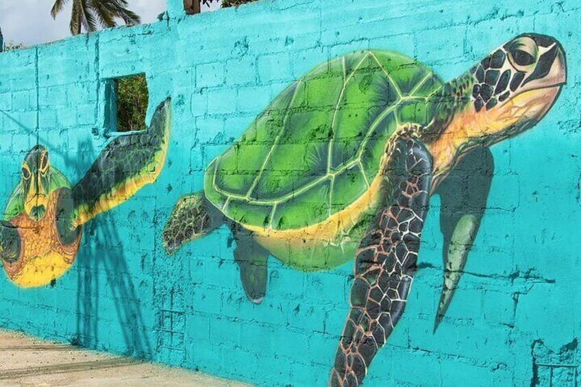 Half-Day Tour in the Sunrise City of Aruba