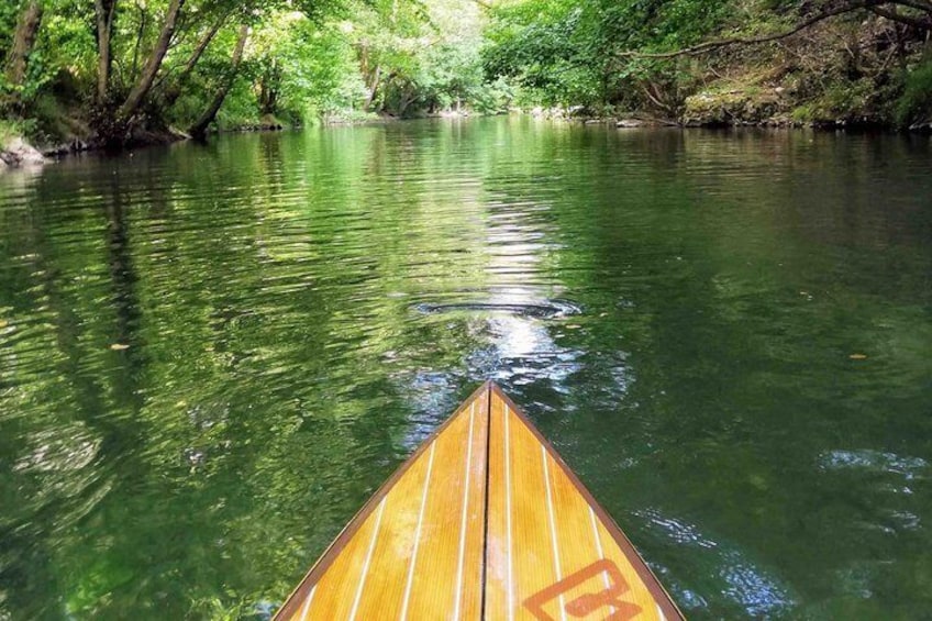 Stand-Up Paddle on Sea in Nice with Guide