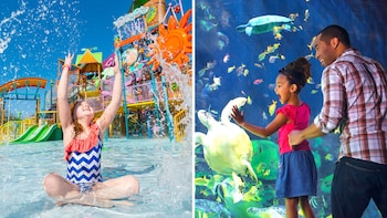 SeaWorld Florida Theme Parks Tickets