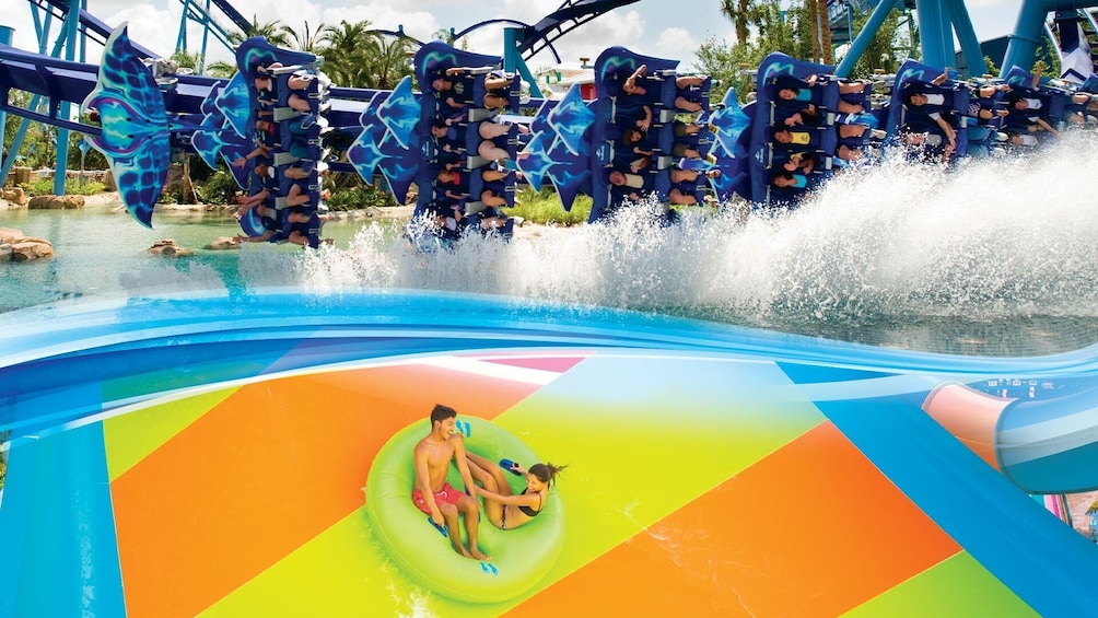 Seaworld Parks And Resorts Theme Parks Tickets Seaworld Parks And Resorts Theme Parks Tickets