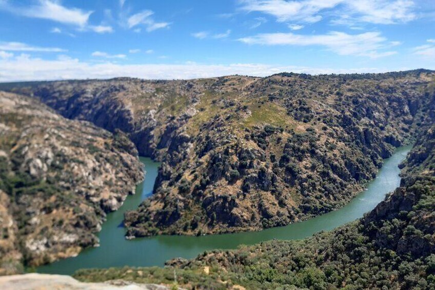 Douro Tour History and Wine