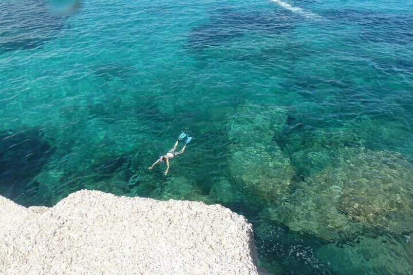 Observation of Dolphins and Snorkeling in a rubber boat in Olbia