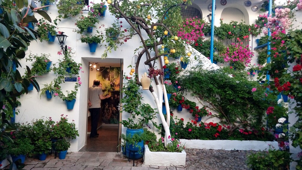 Cordoba Patios Festival Special Tour