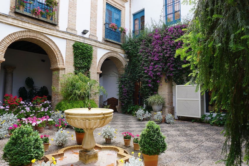 Cordoba Patios Festival Special Tour