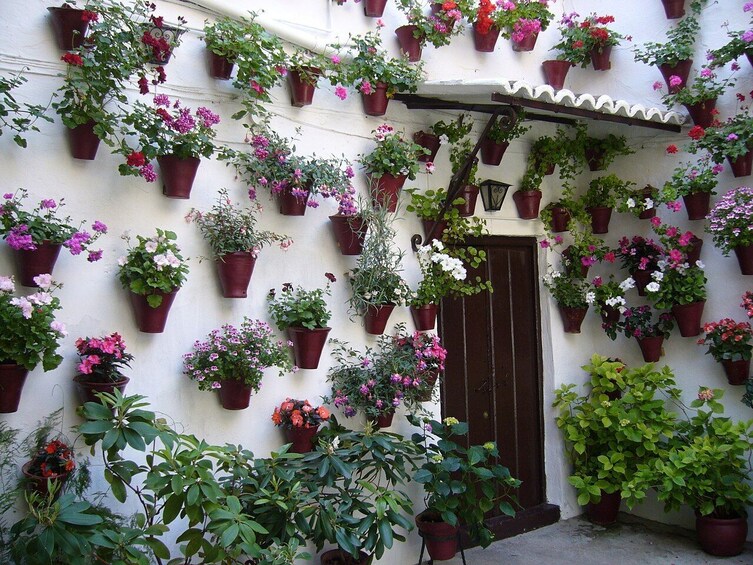 Cordoba Patios Festival Special Tour