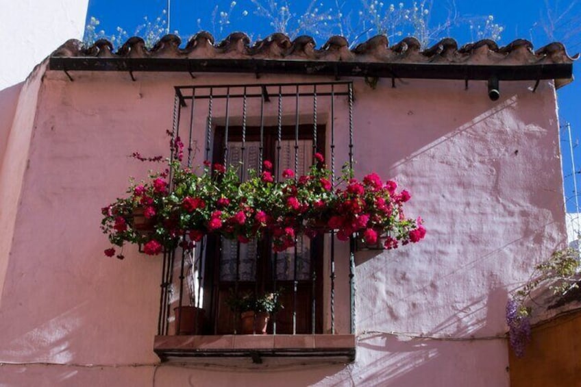 Balcony. Santa Cruz neighborhood