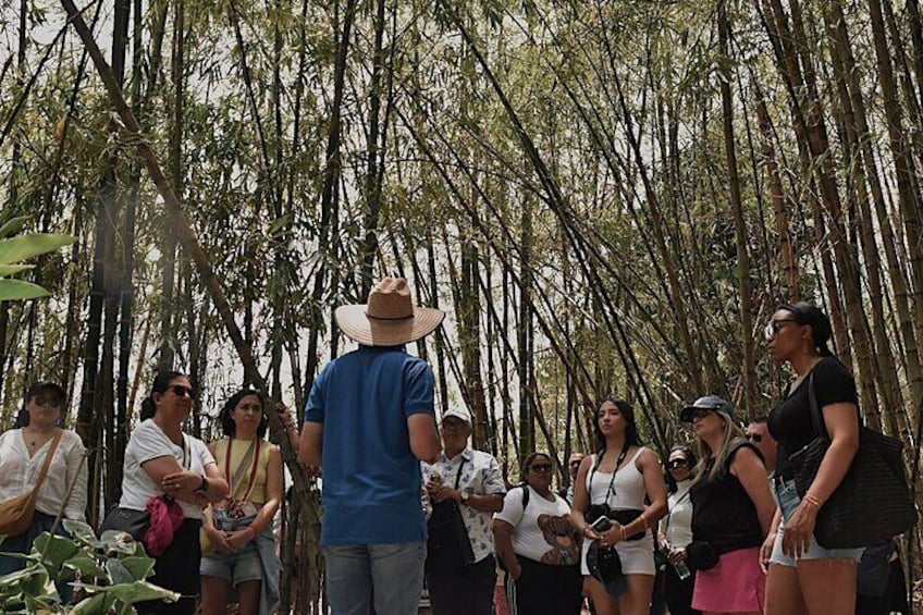 City Tour + Commune 13 Medellin