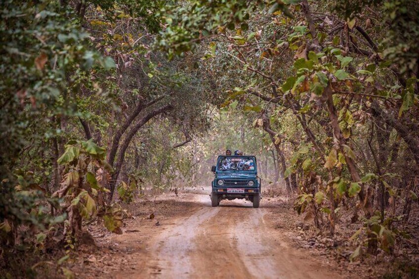 Rajkot to Gir National Park