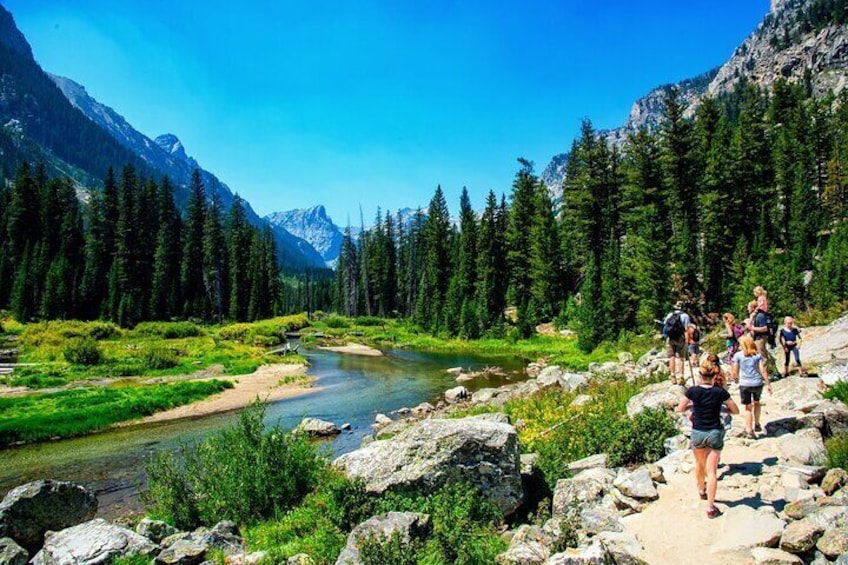 Luxury Private Grand Teton National Park Full-Day Tour