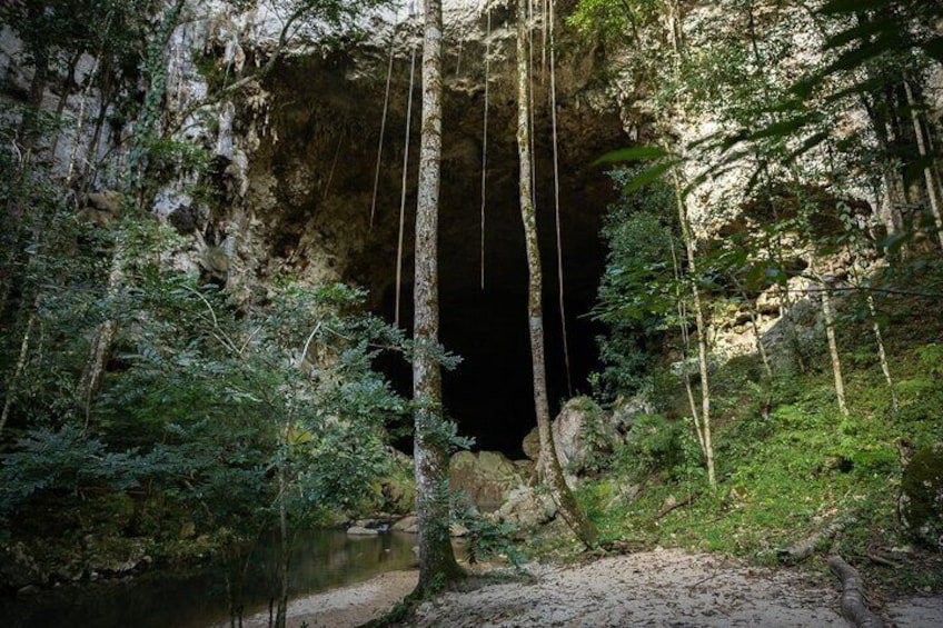 Caracol Maya Ruins Tour Including Rio On Pools, Rio Frio Cave and a Picnic Lunch