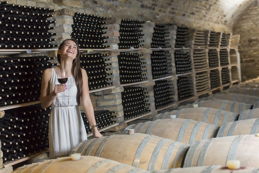 Show item 1 of 6. Wine tasting and visit to the Medieval wine cellar in Friuli