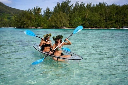 Eco guided excursion to the lagoon of Moorea in transparent kayak 1/2 day m...