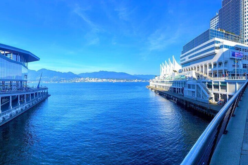 Vancouver Whale Watching Adventure 