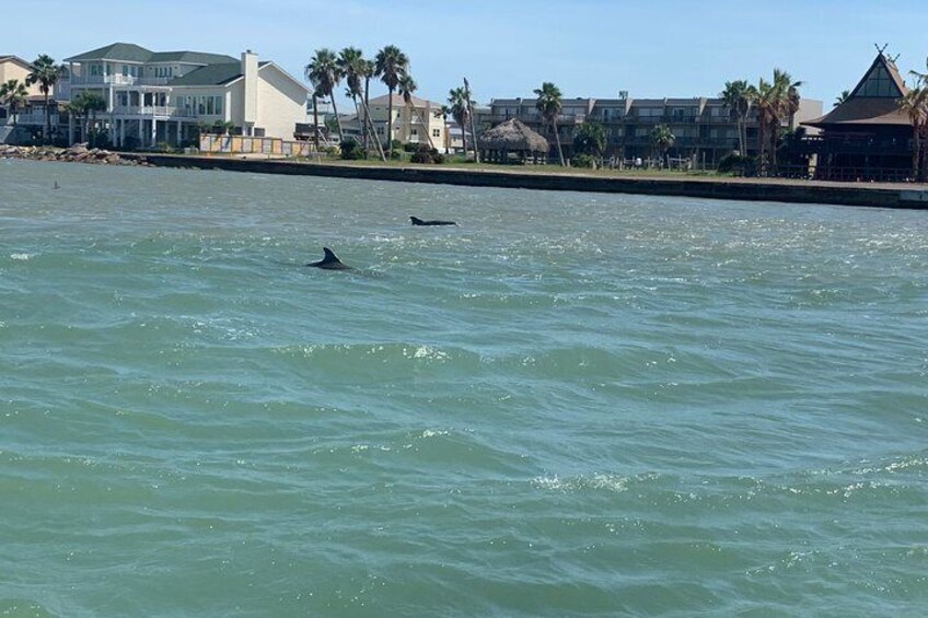 Party Cruise in Port Aransas