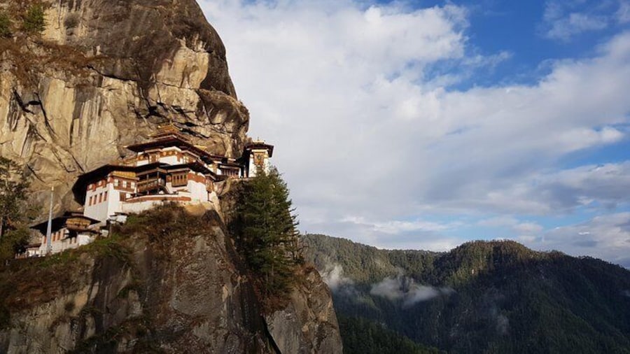 Tiger Nest