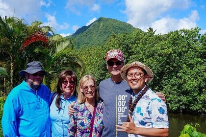 Private TAHITI Full-day Circle Island Tour