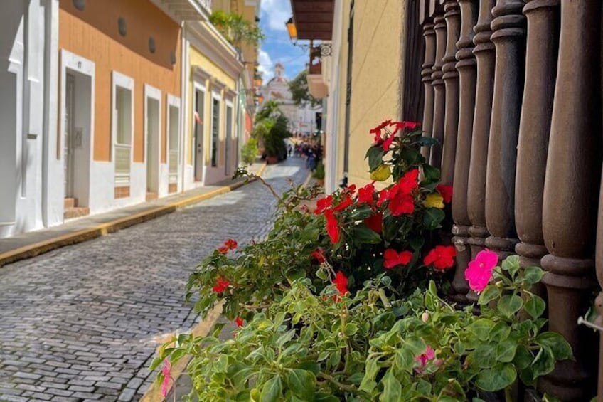 San Juan Highlight Tour