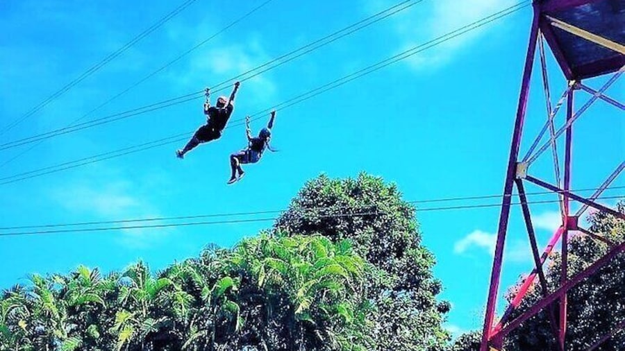 Zipline Puerto Rico Puerto Rico Zipline 1