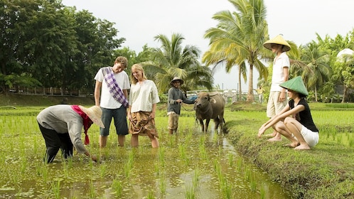 Private Halbtagestour zur Insel Langkawi