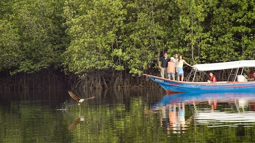 Mangrove partagée + Observation des aigles