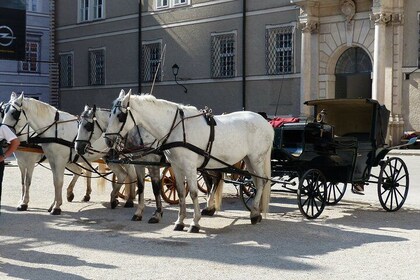 Private 2-Hour walking tour of Salzburg with a local guide
