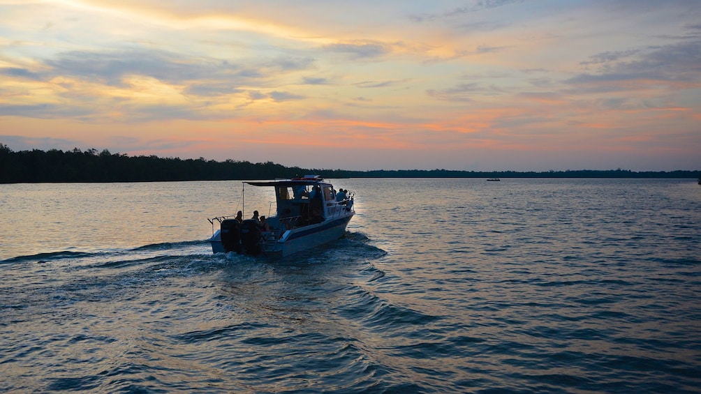 Mangrove Swamp and Irrawaddy Dolphin Watching Cruise 