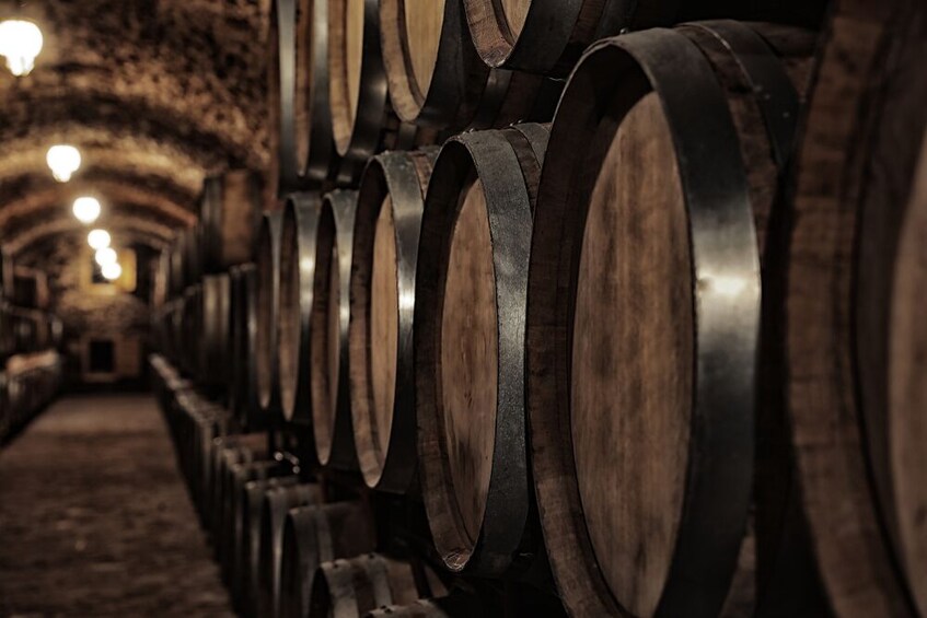 Route through our three wineries in Barrio de Matarredo