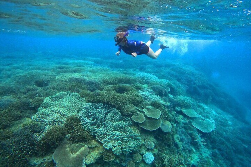 Kayak & snorkel: Private booking - Yambaru, Okinawa