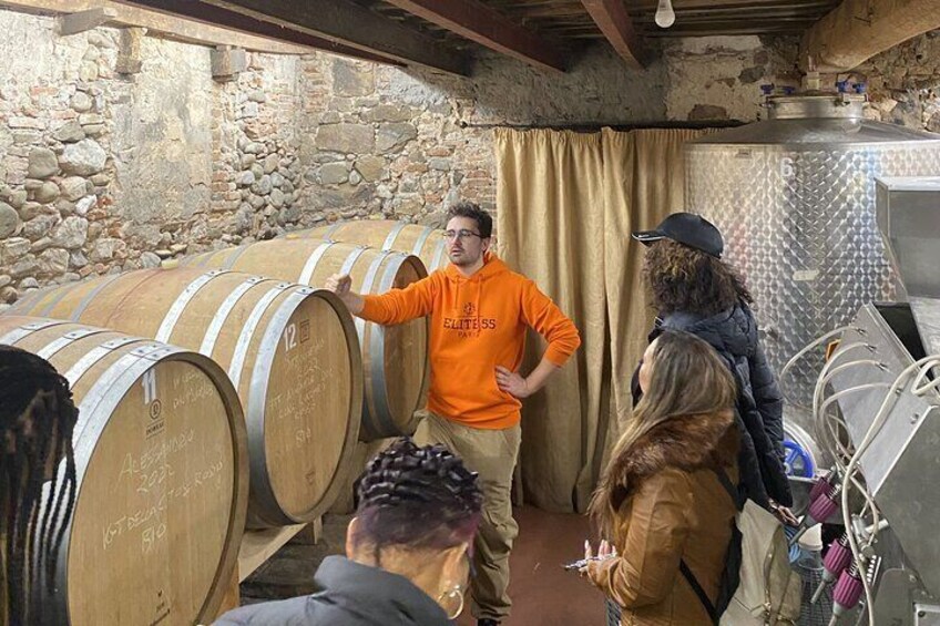 Tuscan Wine Tour in Lucca by van