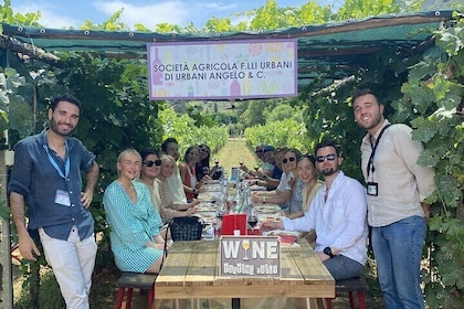 Toskanische Weintour in Lucca mit dem shuttle