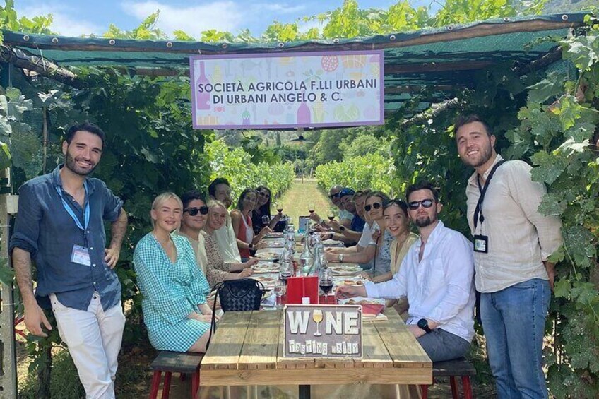 Tuscan Wine Tour in Lucca by van