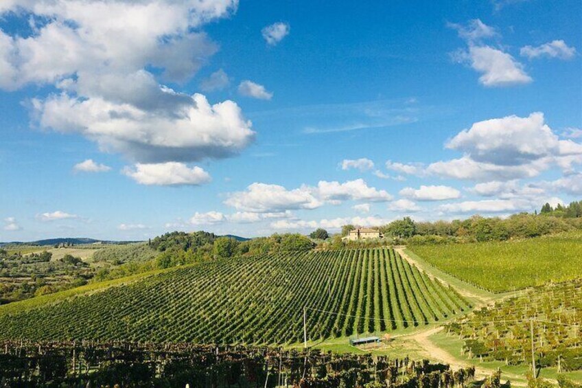 Wine Tasting in Tuscany