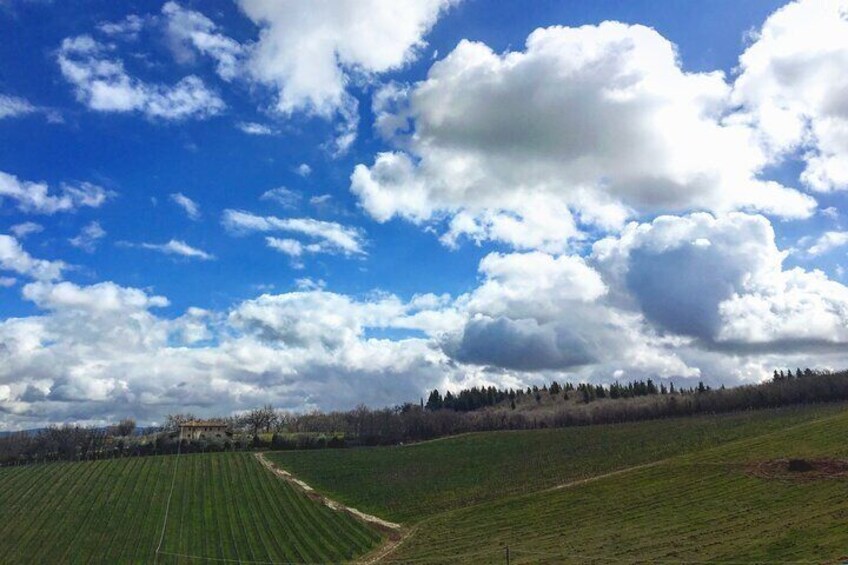 Wine Tasting in Tuscany