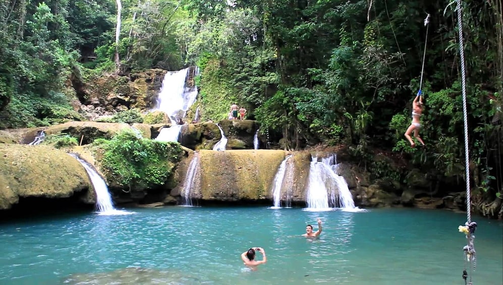 YS Falls, Black River Safari & Pelican Bar with Lunch