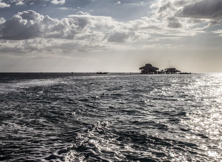 YS Falls, Black River Safari & Pelican Bar with Lunch