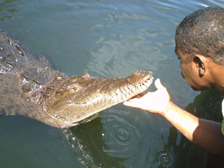 YS Falls, Black River Safari & Pelican Bar with Lunch