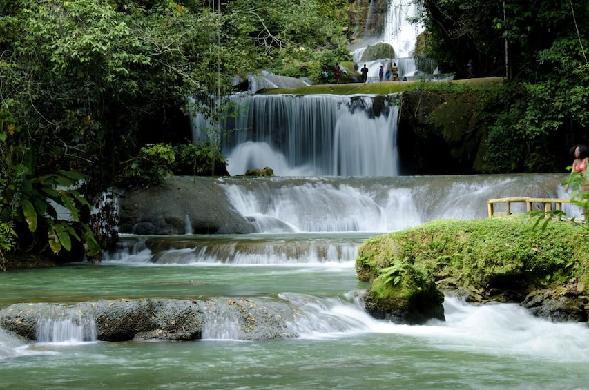 YS Falls, Black River Safari & Pelican Bar with Lunch