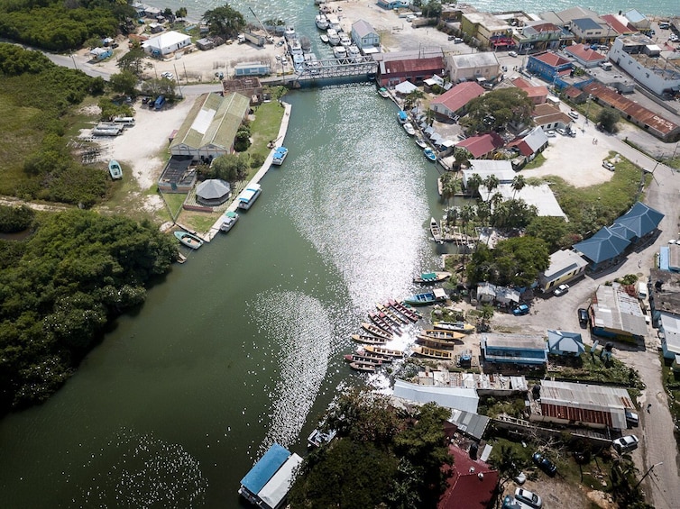 YS Falls, Black River Safari & Pelican Bar with Lunch