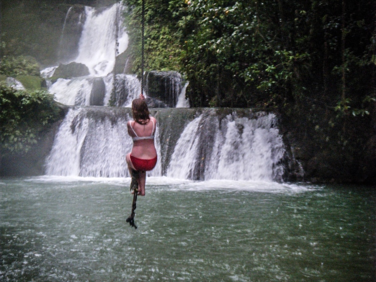 YS Falls, Black River Safari & Pelican Bar with Lunch