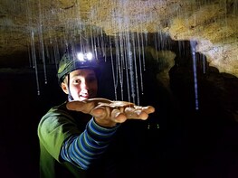 Off the Beaten Track - Glowworm Eco Tour