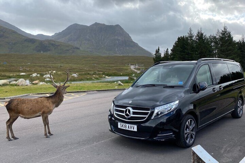 Loch Ness, Glencoe & The Highlands Private Day Tour From Edinburgh